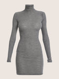 Long sleeve wool knit high collar mini dress